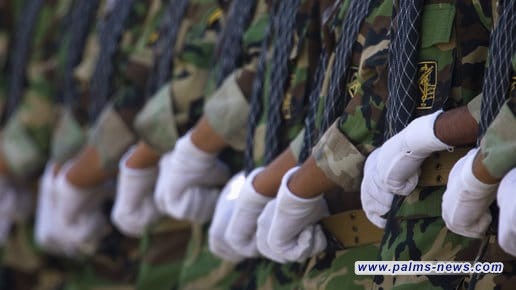 مقتل قائد بالحرس الثوري الإيراني في حادث تحطم طائرة